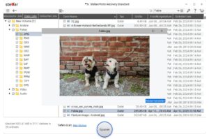 Speichern Sie die Dateien
