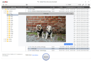 Speichern Sie die Dateien