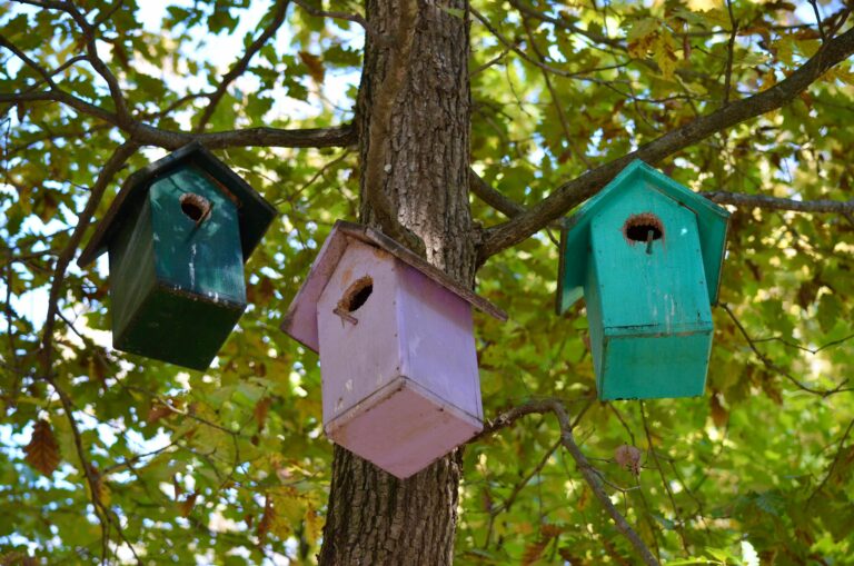 Das passende Vogelhaus für Garten und Balkon finden Das passende Vogelhaus für Garten und Balkon finden