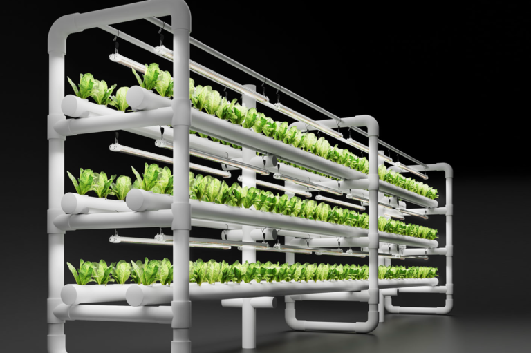 LED Grow Lampe Vollspektrum im Härtetest: Voller Ertrag, kaum Strom LED Grow Lampe Vollspektrum im Härtetest: Voller Ertrag, kaum Strom