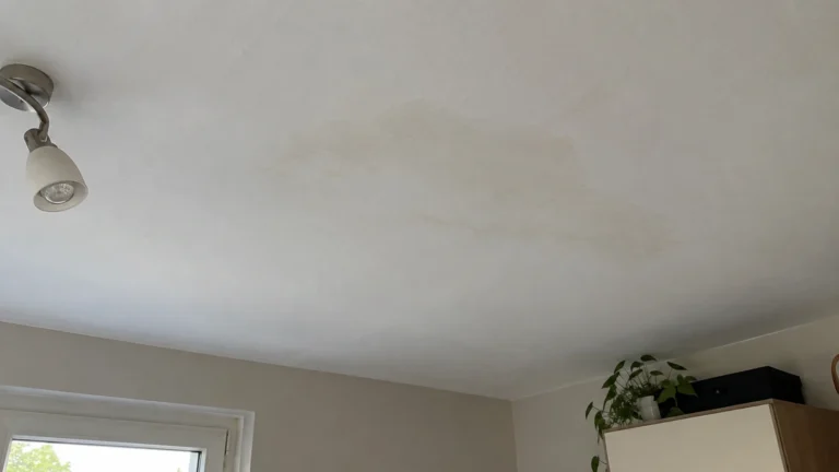 Wasserflecken an der Decke überstreichen Ratgeber & Tipps