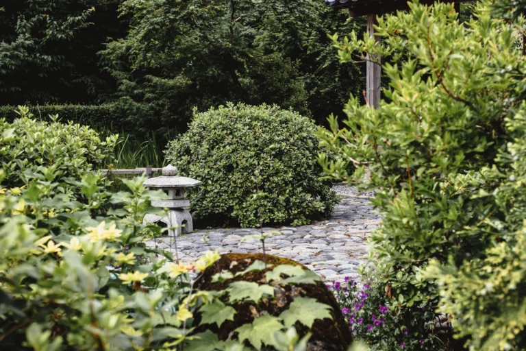 5 Ideen für eine Gartengestaltung mit mehr Grün und weniger Fliesen 5 Ideen für eine Gartengestaltung mit mehr Grün und weniger Fliesen